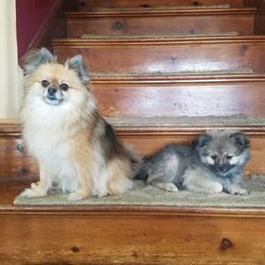 Meet your Posher, Michelle